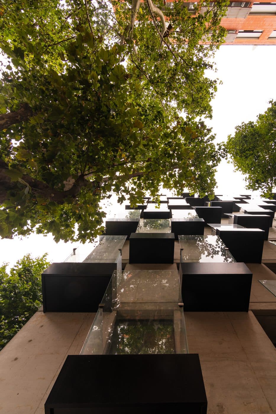 Alma Corso - imagen 1
