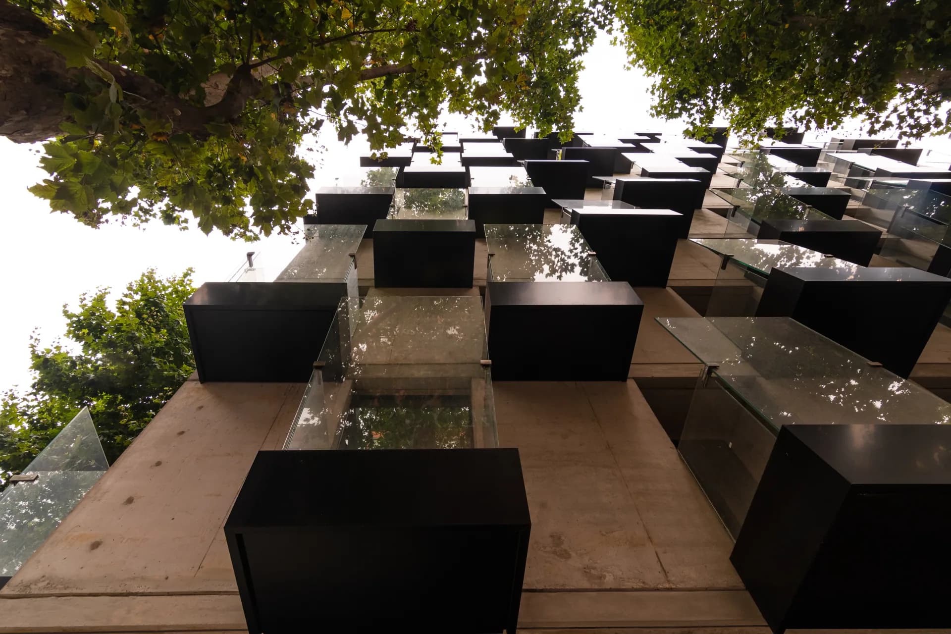 Alma Corso - imagen 2