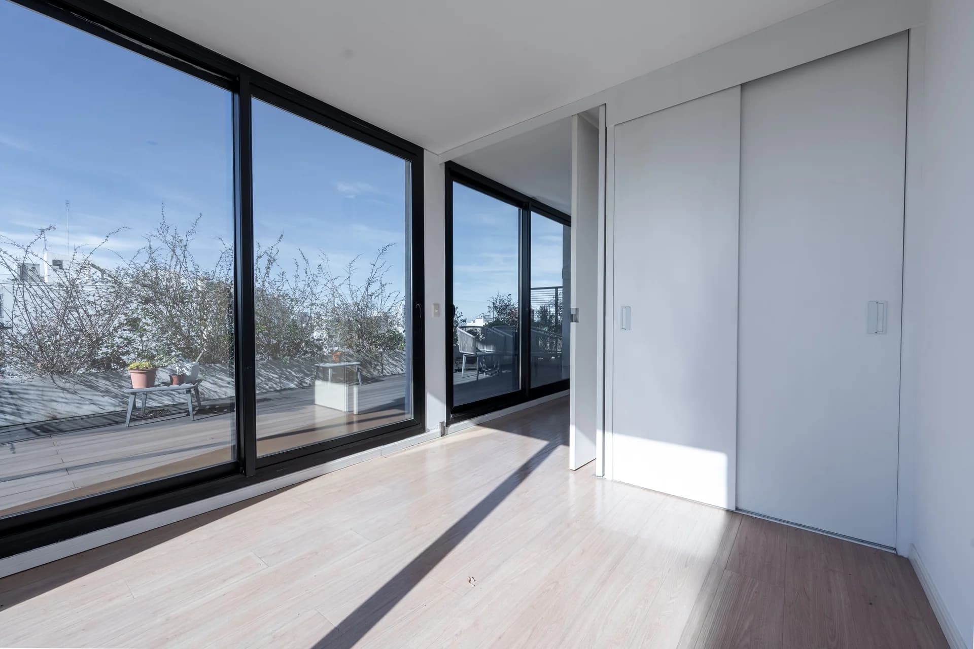 Alma Corso - imagen 6