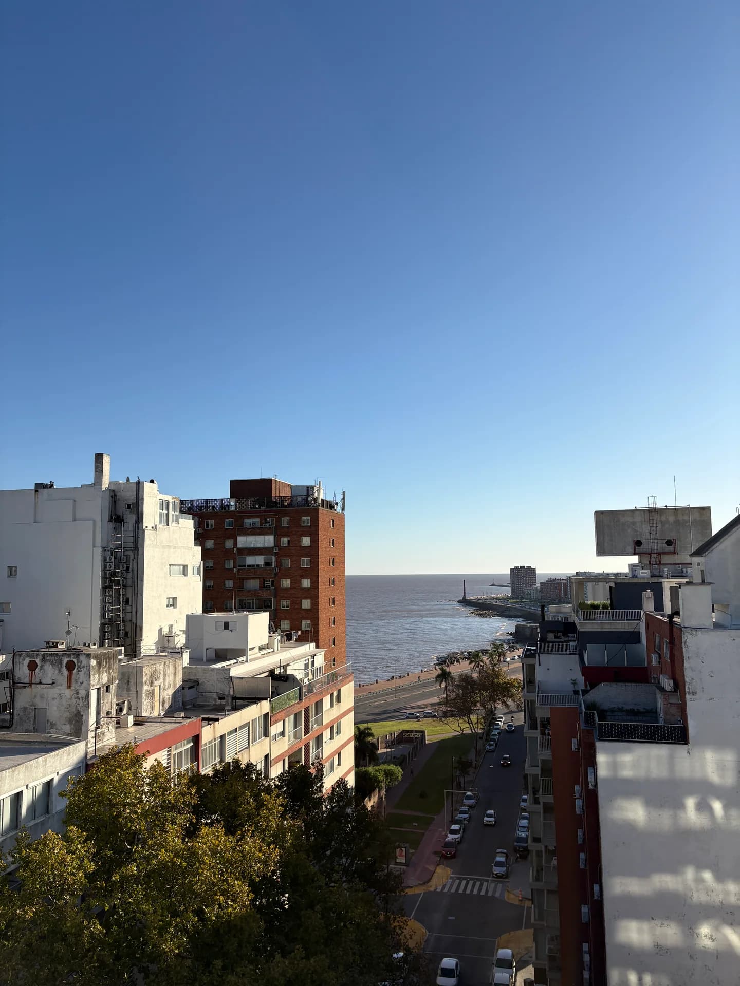 Alma Sur - imagen 27