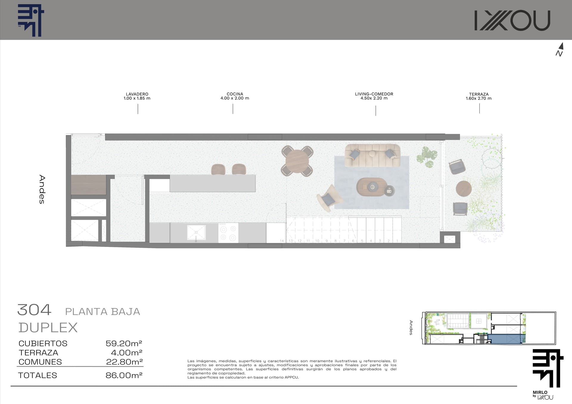 Mirlo - imagen 1