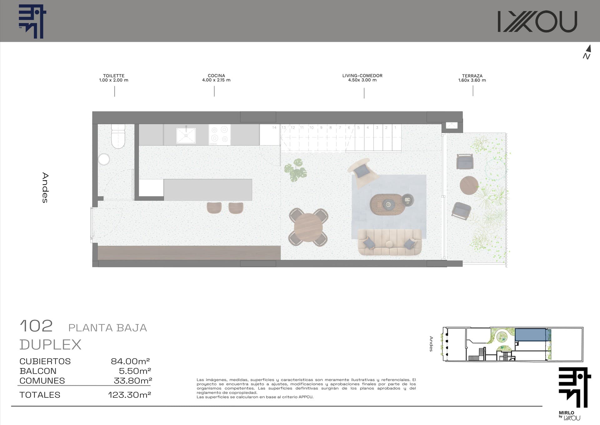 Mirlo - imagen 1