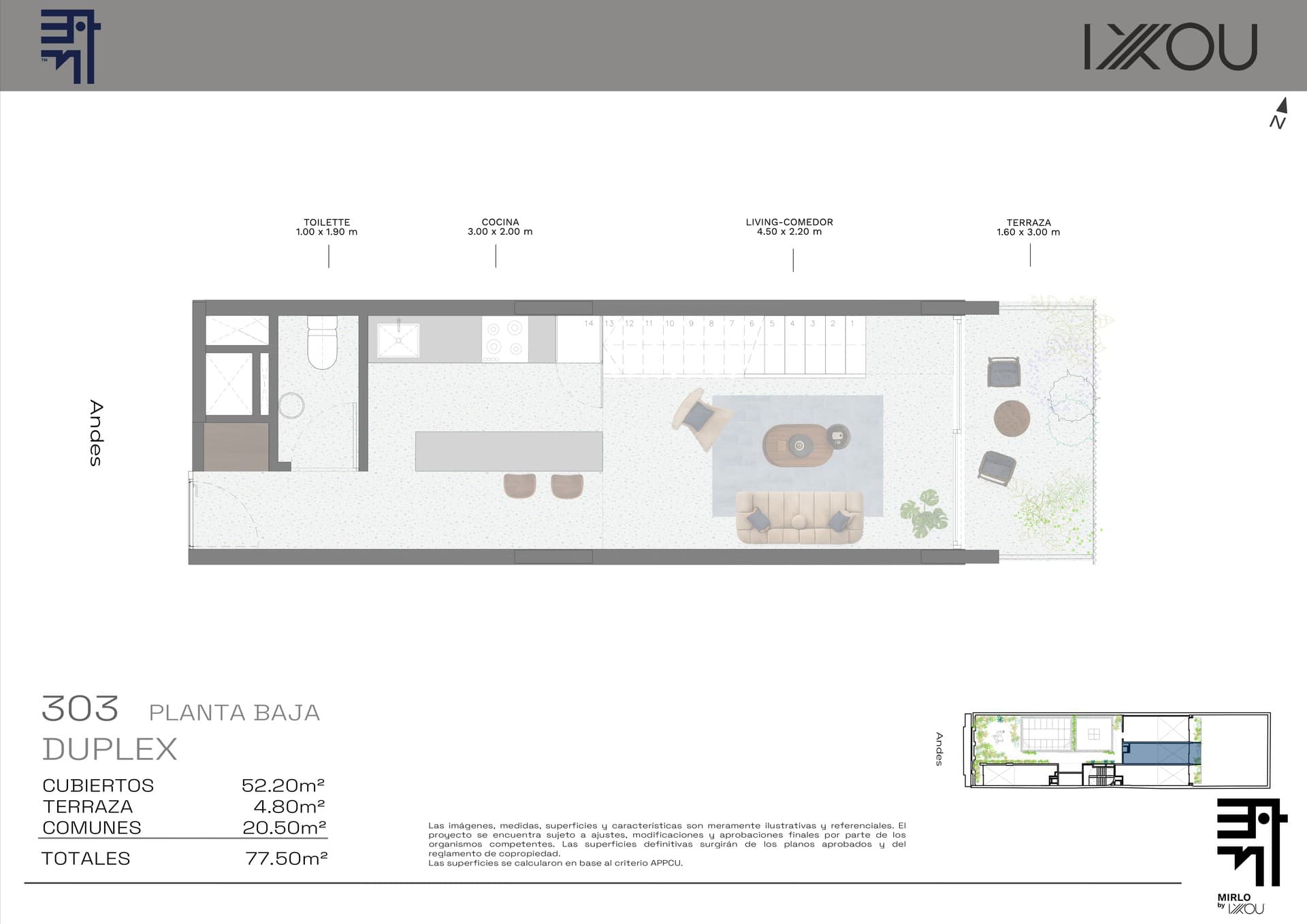 Mirlo - image 1