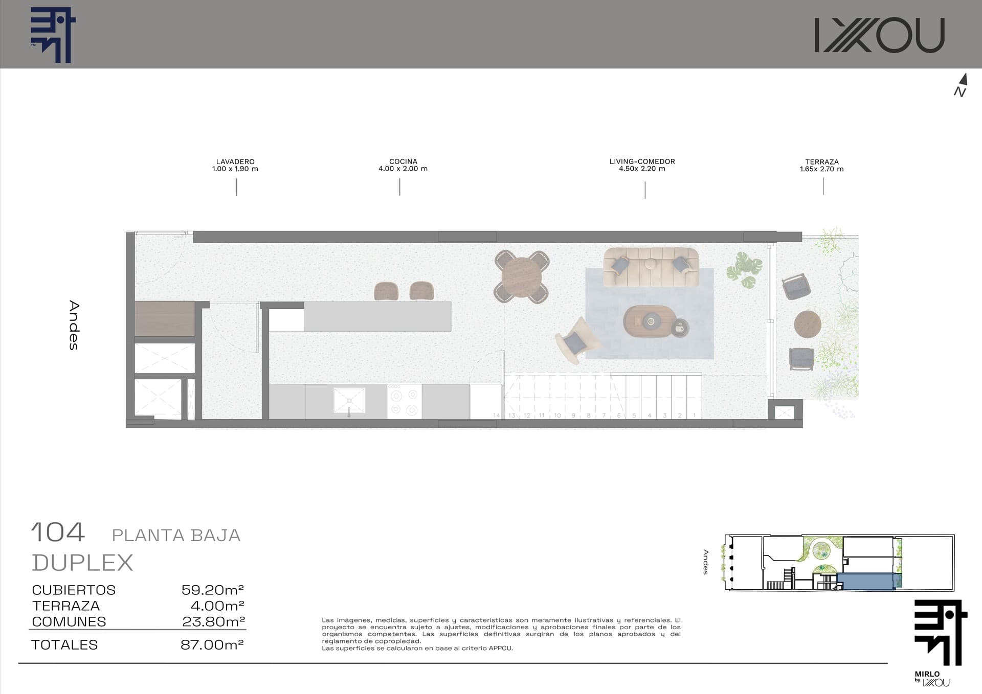 Mirlo - imagen 1
