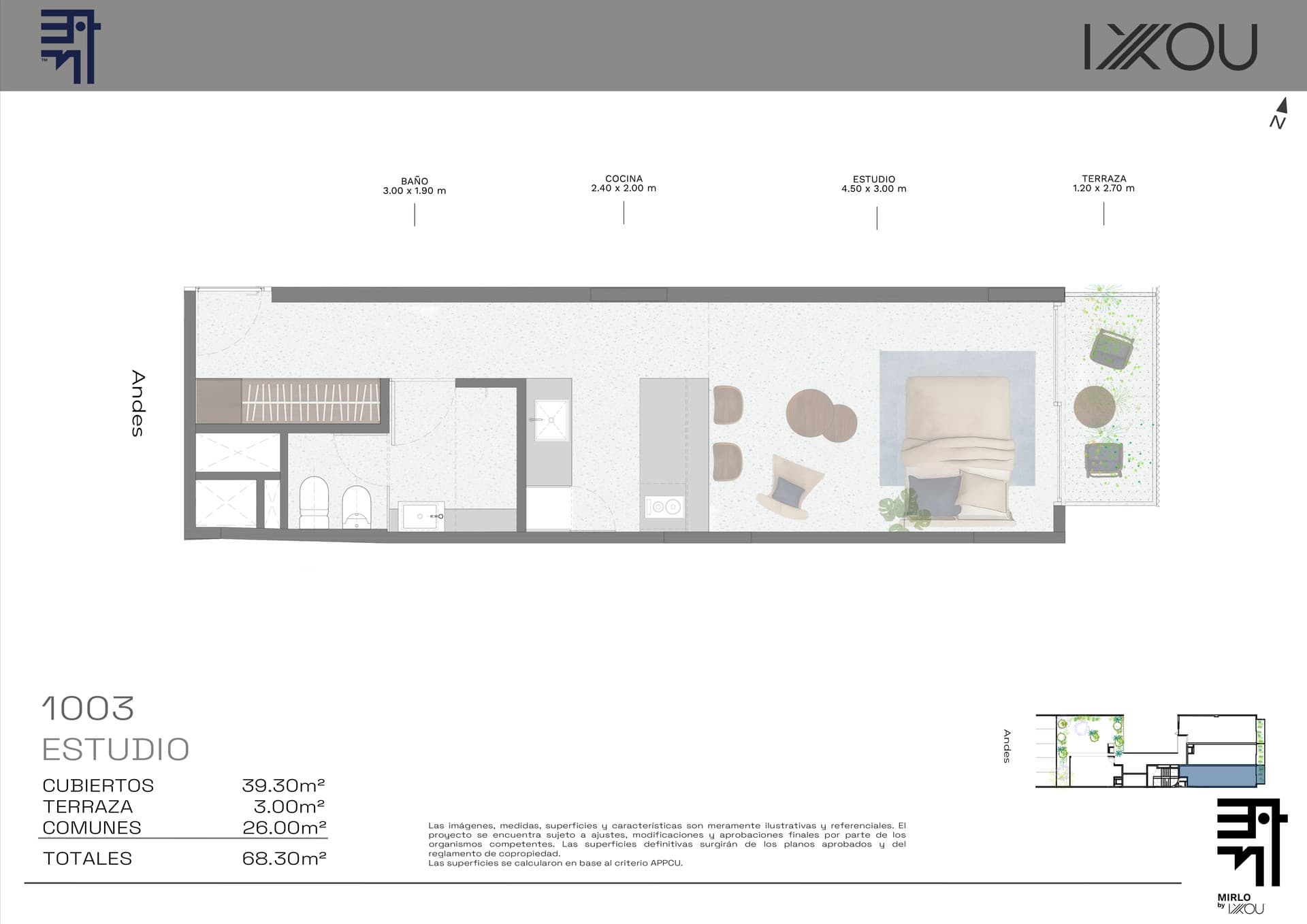 Mirlo - image 1