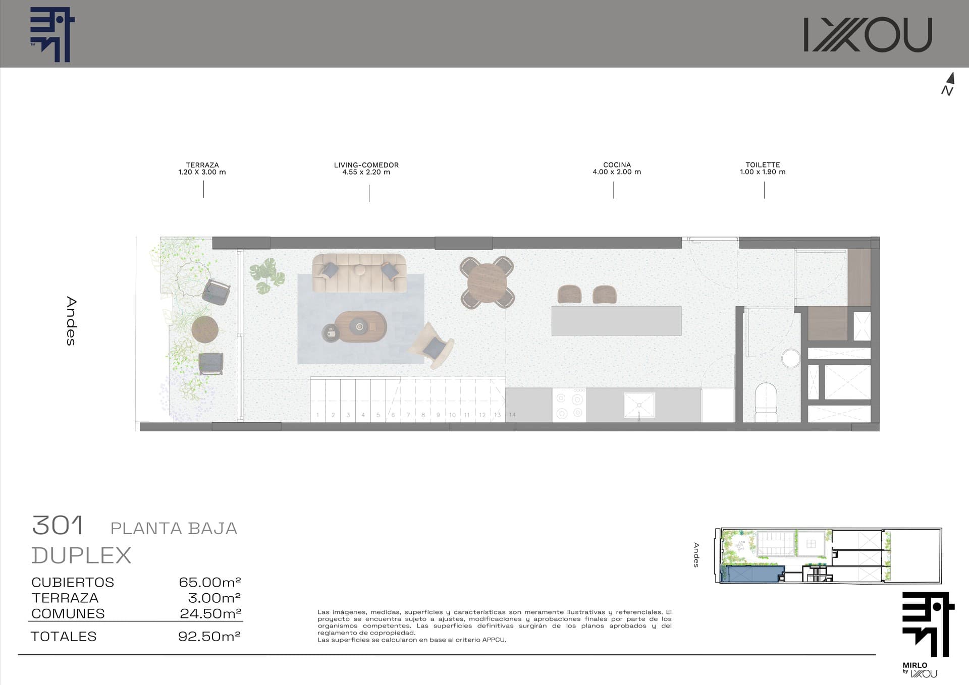 Mirlo - imagen 1