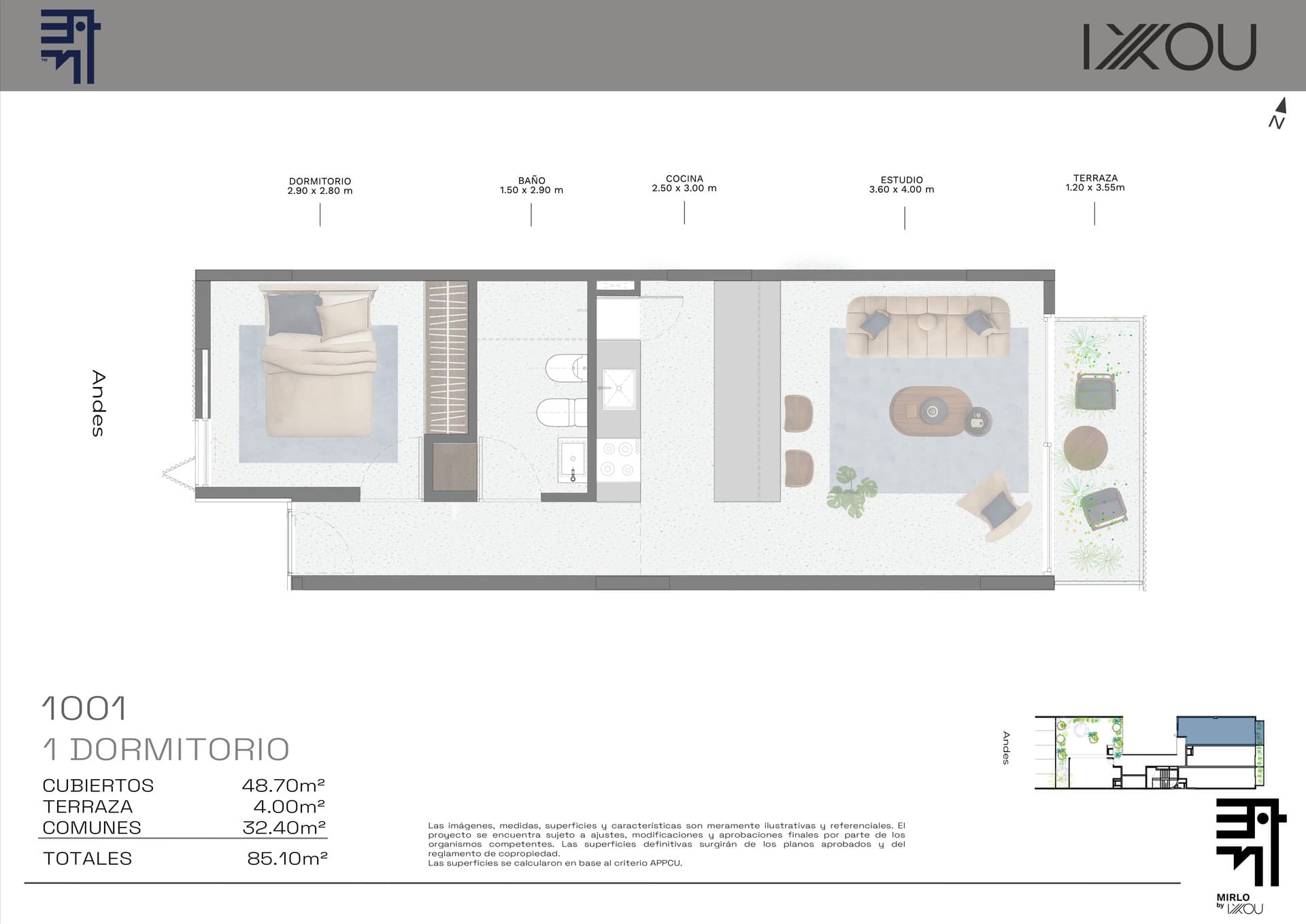 Mirlo - imagen 1